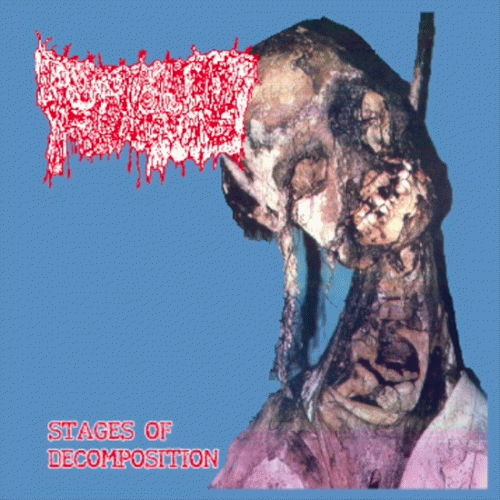 Stages of Decomposition